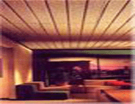 Strip Ceiling